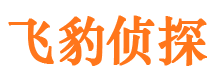 施甸市私家侦探